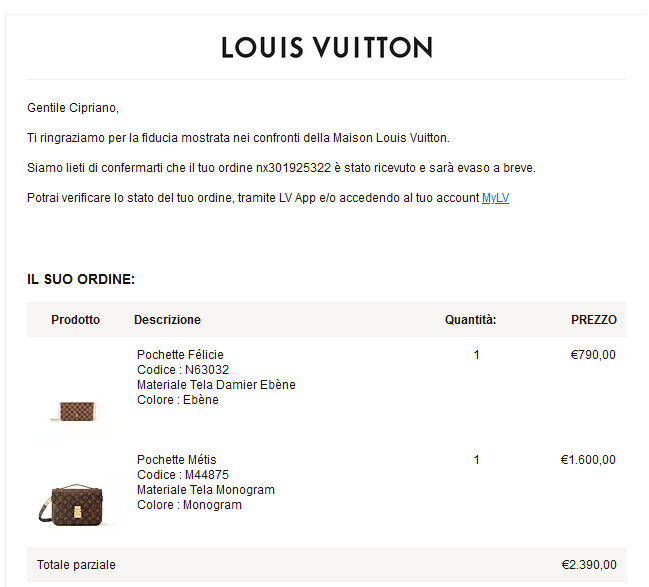 luois vuotton pochette